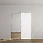 Invisible